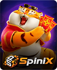 ankerspin